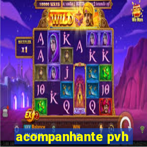 acompanhante pvh